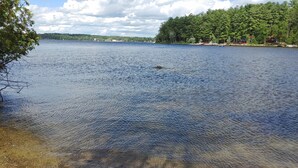 Un lago de aguas cristalinas, rodeado de árboles y una orilla distante.