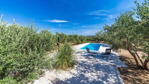 A swimming pool surrounded by olive trees, with a clear blue sky. - Lovely home in Kastel Stafilic (Kastel Stafilic)