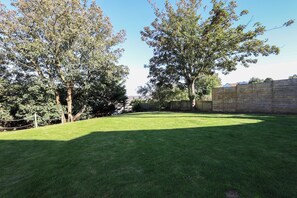 A grassy outdoor area with trees and a wooden fence.