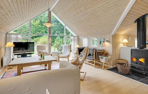 Televisión y chimenea 