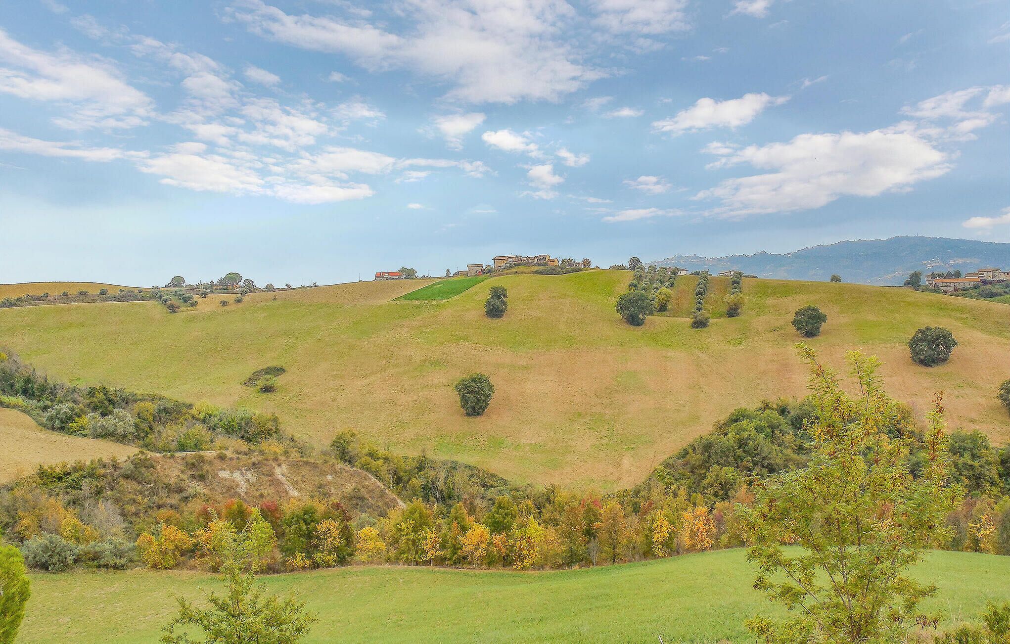 A hilly landscape with scattered trees and a distant building complex.