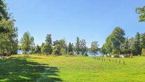 A grassy field with trees and a body of water in the background.