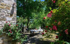 Outdoor dining - 1 bedroom nice home in Villagrande di Monteco (Villagrande di Monteco)