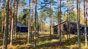 Twee hutten in een bos, onder een heldere lucht.
