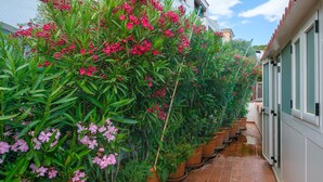 Een smalle, betegelde gang met potplanten en bloemen langs de muren.