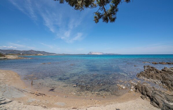 Una spiaggia nelle vicinanze