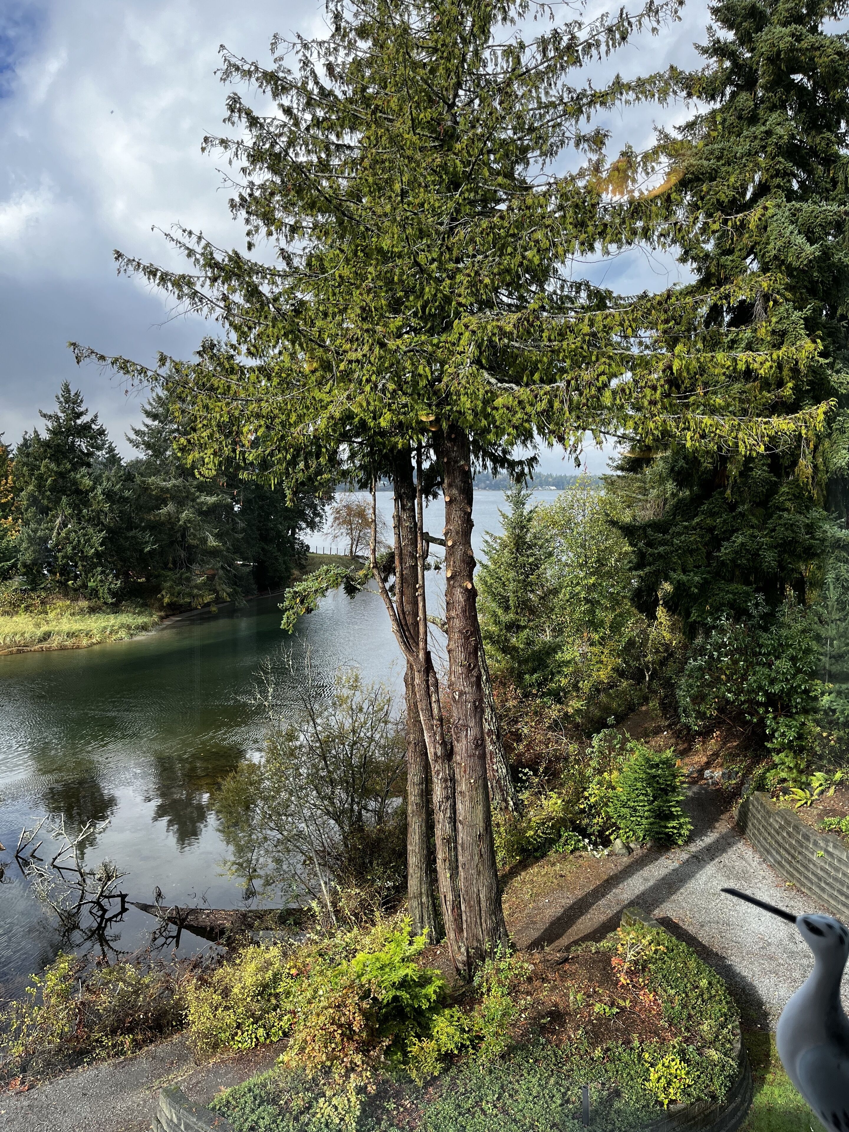 A tree-lined path beside a calm lake, with a bench and a bird feeder.