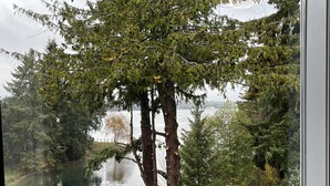 Vista a través de una ventana que muestra una zona arbolada con un cuerpo de agua y una escultura de un ave.