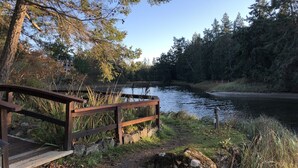 Un puente de madera cruzando un río tranquilo, rodeado de árboles y follaje frondosos.