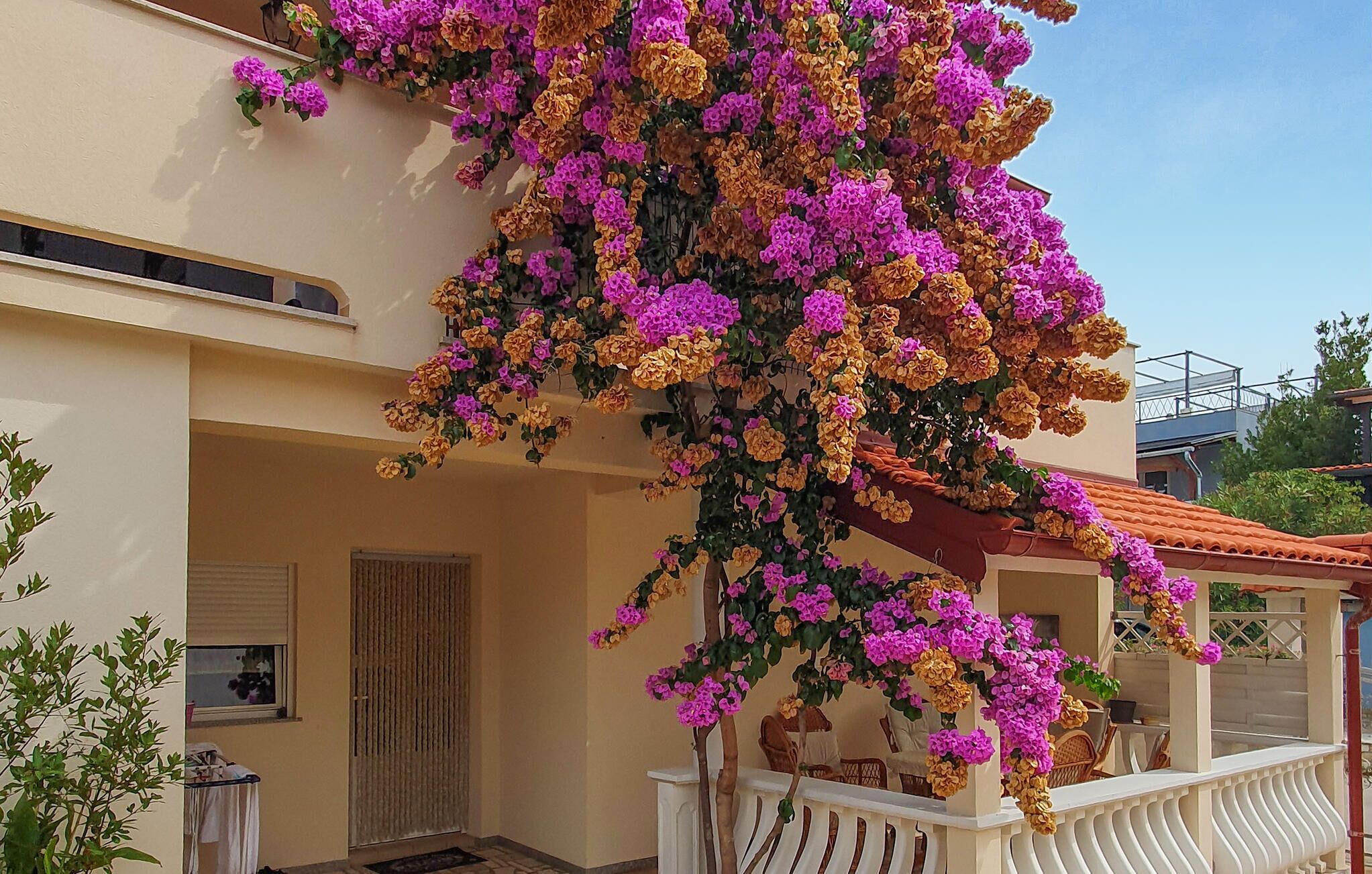 Um edifício com varanda coberta por exuberantes flores de buganvília.