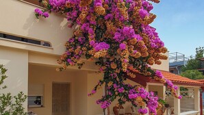 A building with a balcony covered in vibrant bougainvillea flowers.