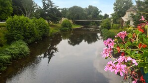 A calm river with lush greenery and a bridge in the background.