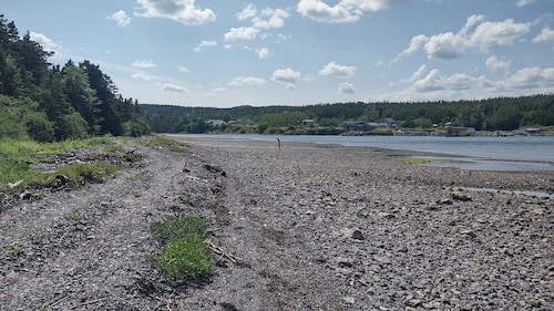 Secluded wooded getaway steps from the salt water