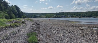 Secluded wooded getaway steps from the salt water