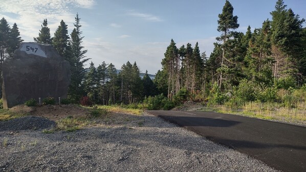 Un camino de grava con una gran roca marcada '547' y un bosque denso a ambos lados.
