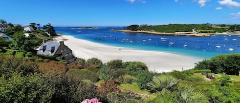 Beach nearby, fishing
