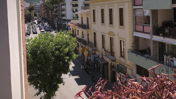 Vista de una calle con edificios, un árbol y coches aparcados.