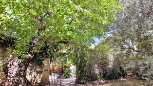 Un jardín con un muro de piedra, una verja metálica y varios árboles.