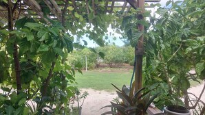 En trädgård med en träpergola, krukväxter och en gräsyta.