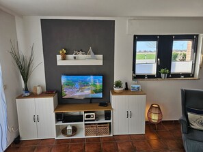 Télévision, cheminée, lecteur de DVD, chaîne hi-fi
