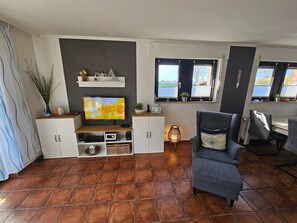 Télévision, cheminée, lecteur de DVD, chaîne hi-fi