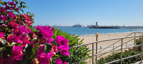 Playa en los alrededores, camastros y toallas de playa 