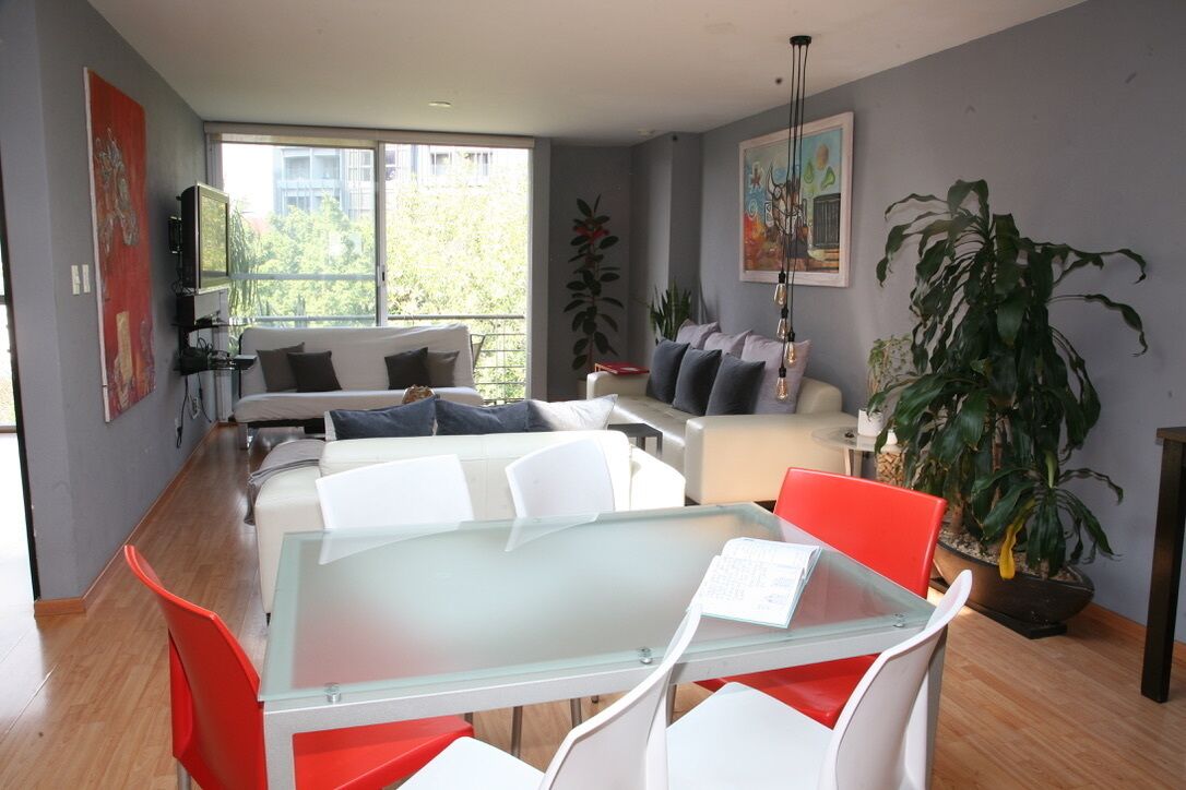 A modern living room with a glass-top table, white and red chairs, a sofa, and a large potted plant.