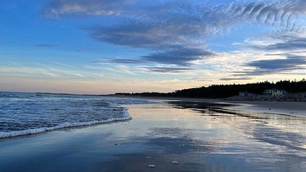 Une plage aux eaux calmes, un ciel dégagé et une côte lointaine bordée d’arbres.