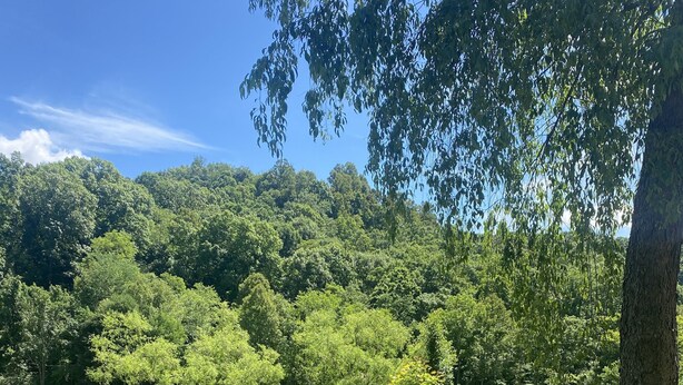 Ein Park mit Teich, rotem Weg und einem Gazebo.