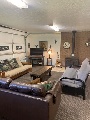 Televisión, chimenea, reproductor de DVD y libros