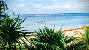 A beach with clear blue water, a sandy shore, and green foliage in the foreground. - Spacious Beach Front Home  -  Swim, Snorkel, Dive, Paddle, at your doorstep! (Sandy Bay)