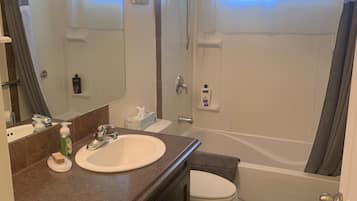 Combined shower/tub, hair dryer, towels, toilet paper