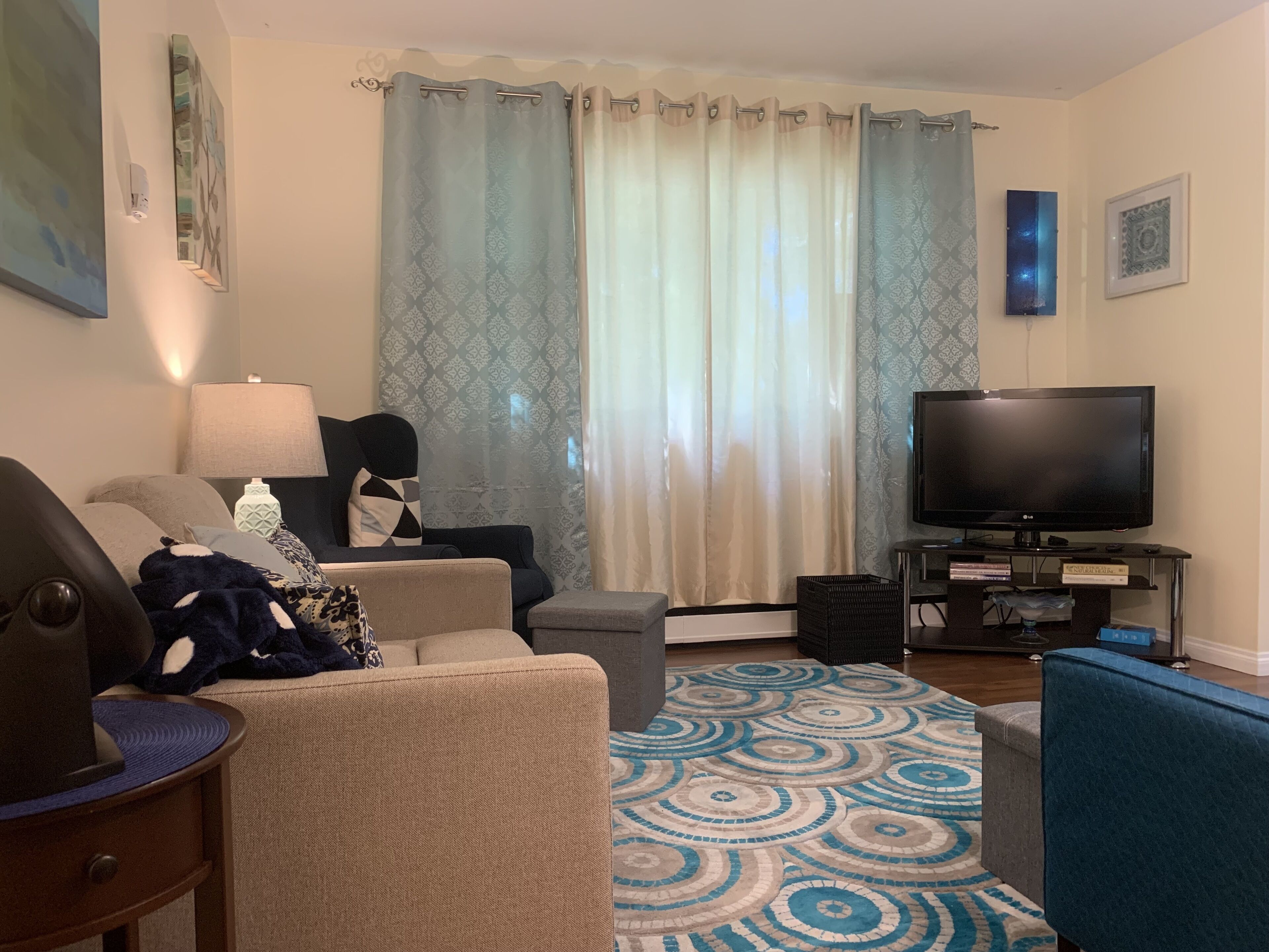 Una sala de estar con sofá, sillón, televisor y alfombra estampada.