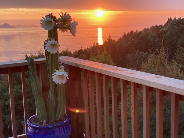 Property grounds - Breathtaking ocean views from the comfort of a lovely home with expansive deck. (Whitethorn)