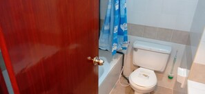 Combined shower/tub, bidet