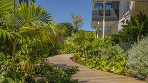A wooden pathway surrounded by lush tropical plants and a building with large windows. - Oceans 88 Whitianga Coastal Accommodation Suites (Whitianga)