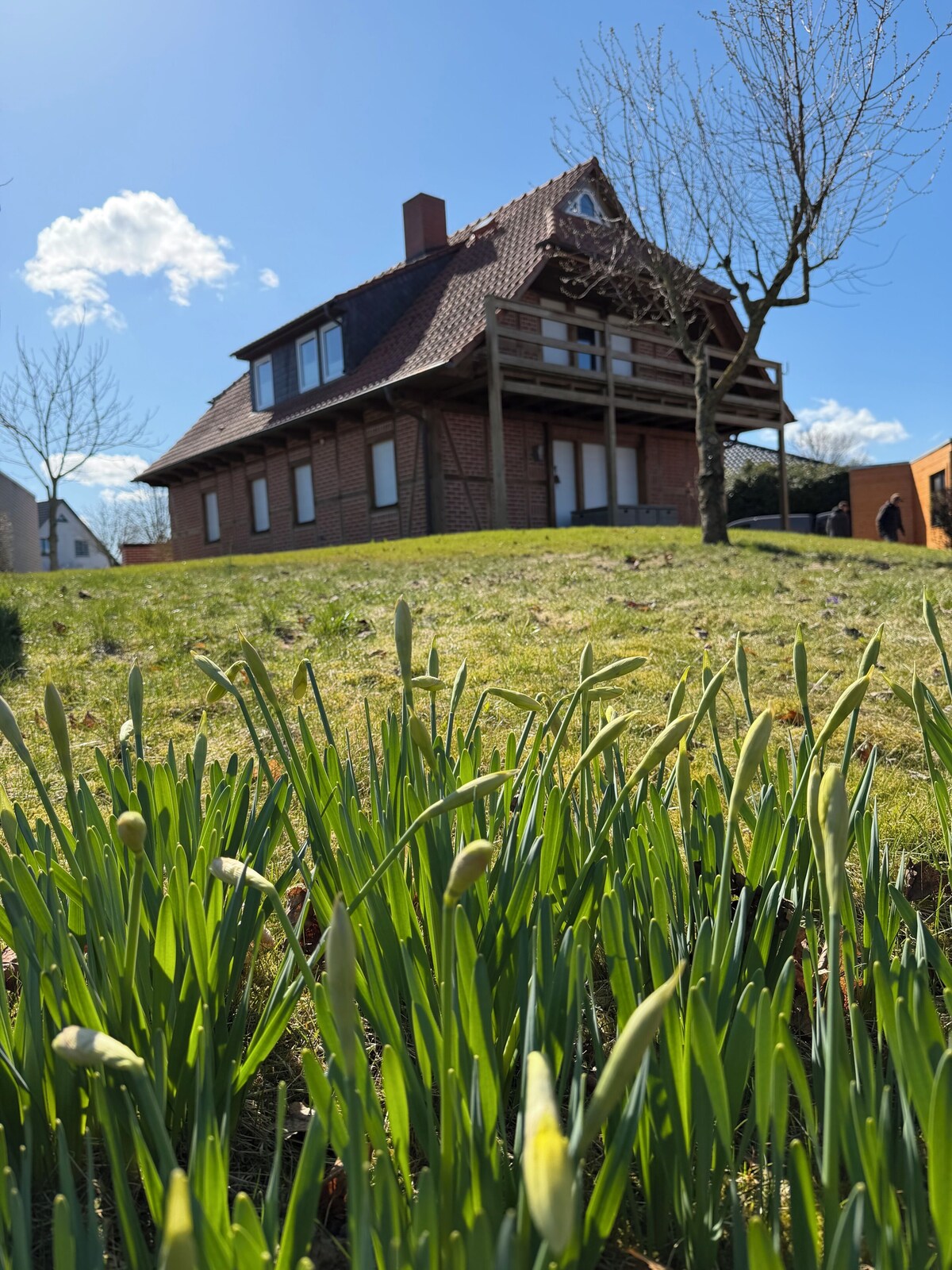 Imagem do perfil do anfitrião