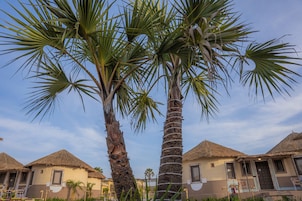 A resort with thatched-roof huts, palm trees, and a clear sky.