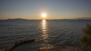واجهة المنشأة