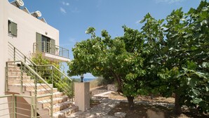 A stone staircase leading to a building with a balcony, surrounded by fig trees and a clear sky. - Villa Luisa Exclusive Residences (Monemvasia)
