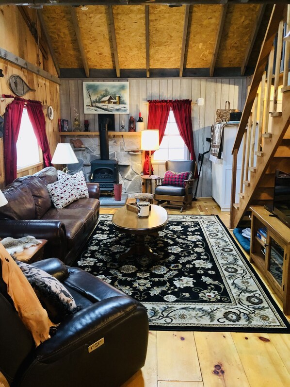 TV, DVD player, books, video library