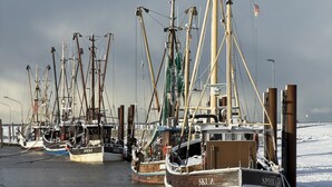 A row of fishing boats docked at a pier with a snowy landscape in the background. - 500m zum Hundestrand, Eingezäunter Garten, Ebenerdig (Wurster Nordseeküste)