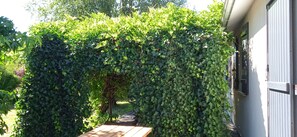 Property grounds - Villa 100 m² 10 mn from the ocean and 15 mn from the lake (Naujac-sur-Mer)