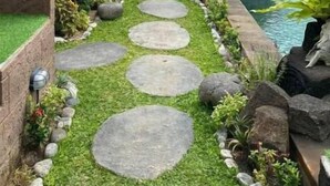 Ein Gartenweg mit trittfesten Steinen, umgeben von üppigem Grün und einem kleinen Teich.