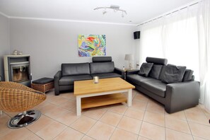 Televisión, chimenea, reproductor de DVD y estéreo