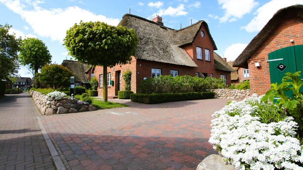 A traditional brick house with a thatched roof, surrounded by a paved driveway and lush greenery.