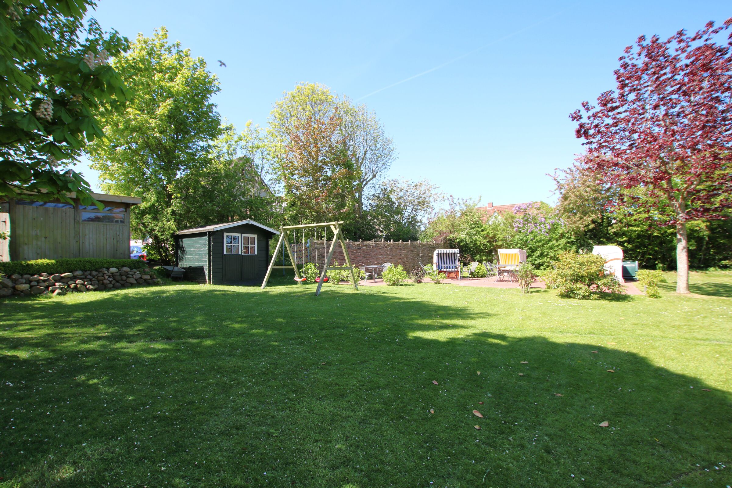 A backyard with a swing set, a shed, and a tree.
