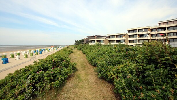A pathway leading to a beach with a row of modern buildings in the background. - Ferienwhg. Wyk, mit 2 Zimmern, ca. 52 m² im 1.og mit Meerblick auf die Halligen (Wyk auf Föhr)