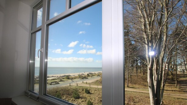 Una ventana con vista a una playa, un sendero y árboles sin hojas.