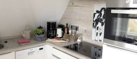 Fridge, oven, stovetop, dishwasher